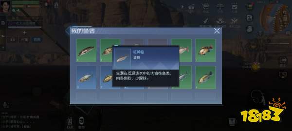 黎明觉醒钓鱼去哪里好 黎明觉醒最佳安全钓鱼地点一览