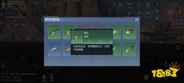 黎明觉醒钓鱼去哪里好 黎明觉醒最佳安全钓鱼地点一览