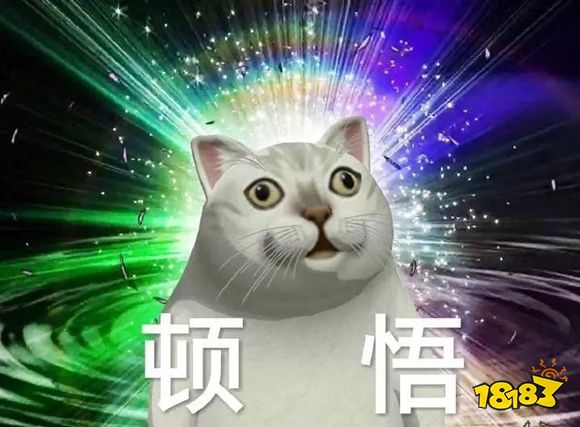 在这里，没有什么是一只烤鸡解决不了的