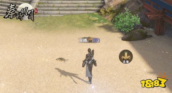 在这里，没有什么是一只烤鸡解决不了的