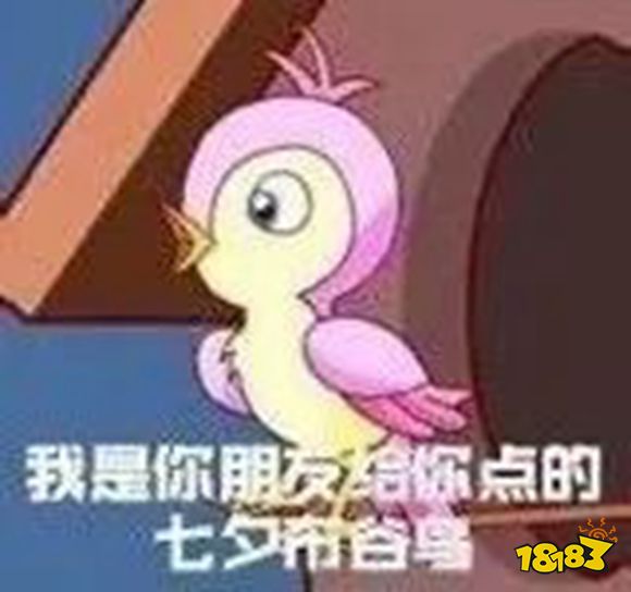 秦路漫漫，最长情的告白有你陪伴