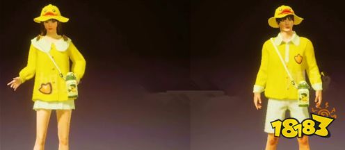 小黄鸭兑换码限量免费领取 和平精英小黄鸭兑换码一览