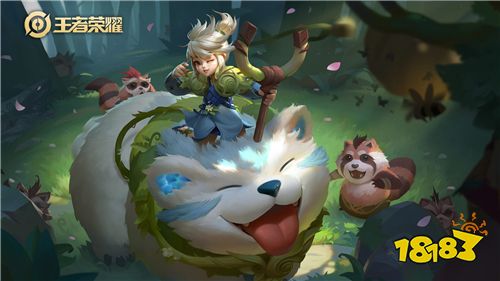 王者荣耀怎么隐藏我的英雄