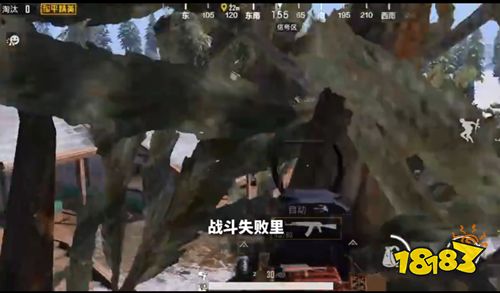 和平精英辅助也能爬树 雪地豪宅上树阴人技巧