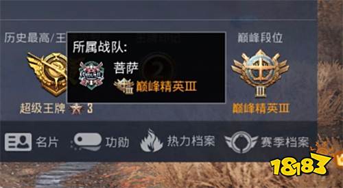 巅峰赛战队怎么改名字 和平精英在哪修改战队名