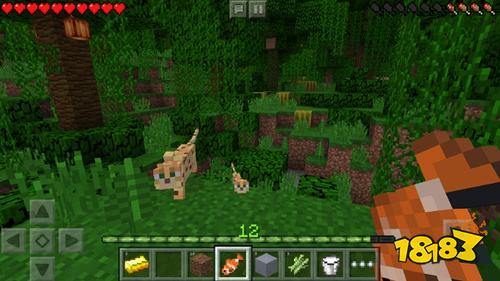 我的世界基岩国际版下载