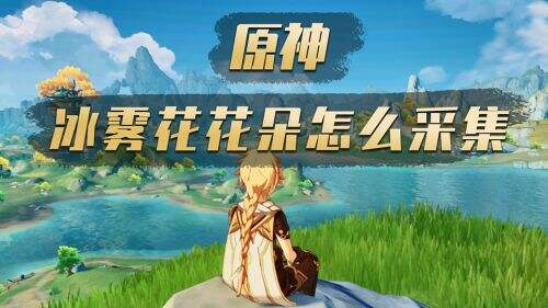 原神冰雾花花朵怎么采集