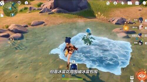 原神冰雾花花朵怎么采集