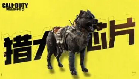使命召唤手游猎犬芯片介绍