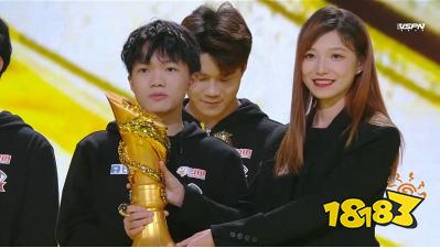 KPL总决赛落幕,DYG横扫AG夺冠,小义获得FMVP