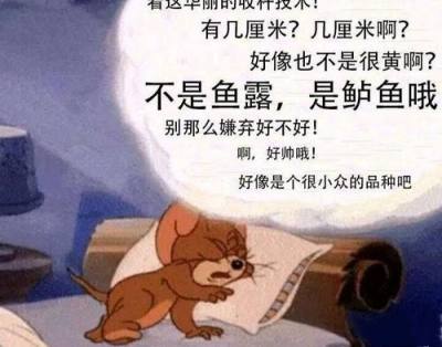 年度梗图汇总干啥啥不行造梗第一名