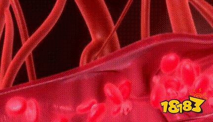 这瓶男士「私密护理液」，堪比外用“X哥”，洗一次爽3天，老婆超满意！