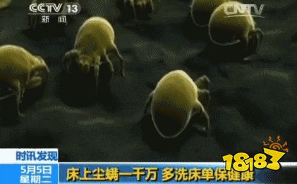 床上放个它，1000W螨虫集体自杀，比太阳暴晒强10000倍，每天不到一毛钱！