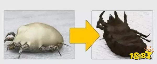 床上放个它，1000W螨虫集体自杀，比太阳暴晒强10000倍，每天不到一毛钱！