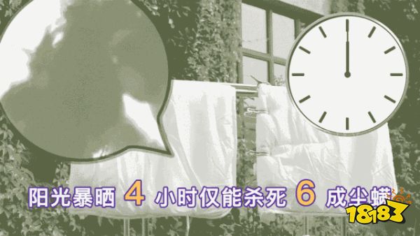 床上放个它，1000W螨虫集体自杀，比太阳暴晒强10000倍，每天不到一毛钱！