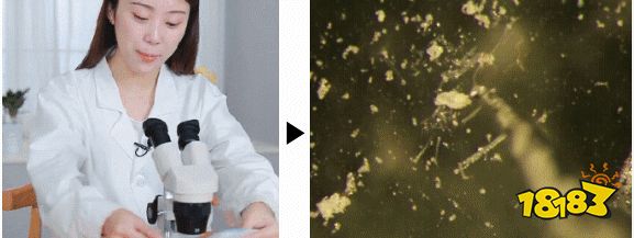 床上喷喷它，让千万螨虫集体自杀，比太阳暴晒强10000倍
