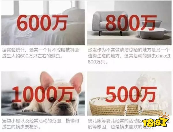 床上喷喷它，让千万螨虫集体自杀，比太阳暴晒强10000倍