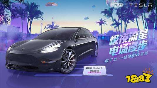 和平精英特斯拉免费领取 特斯拉皮肤cdk兑换码