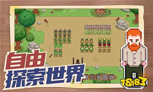 透视Watch测试版下载