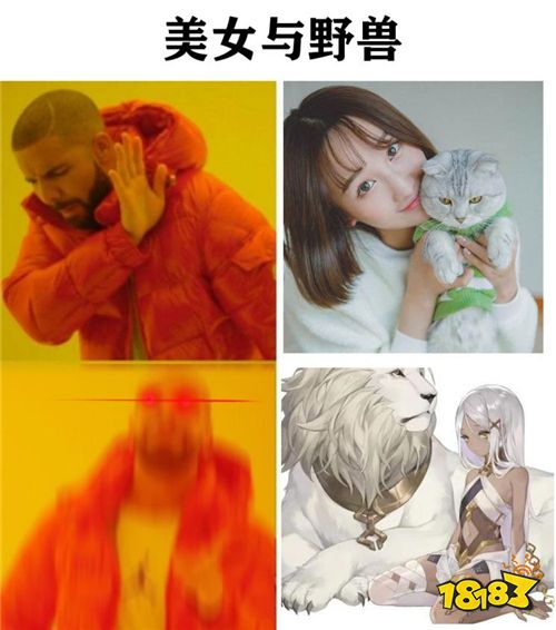 幻書啟世錄人均影帝?館長(zhǎng)：典藏!come on~