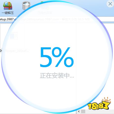 小鸟壁纸2021版下载
