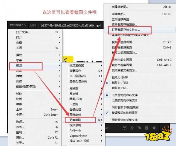 PotPlayer播放器PC版下载