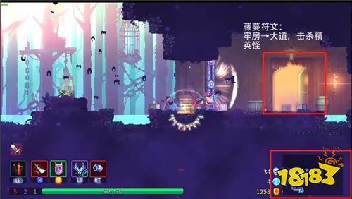 重生细胞藤蔓符文获取位置在哪 重生细胞藤蔓符文怎么获得