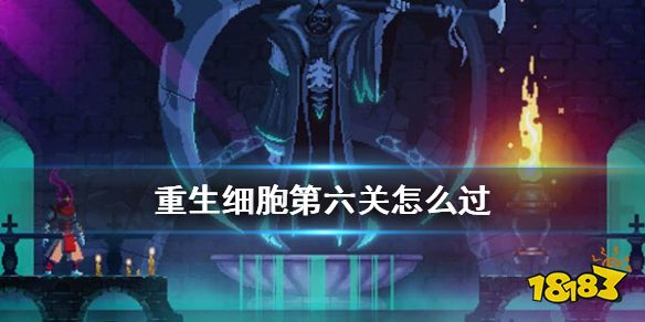 重生细胞第六关藏骨堂怪物详解 重生细胞第六关怎么过