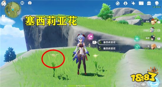 原神最难收集的突破材料是什么 最难收集的突破材料盘点