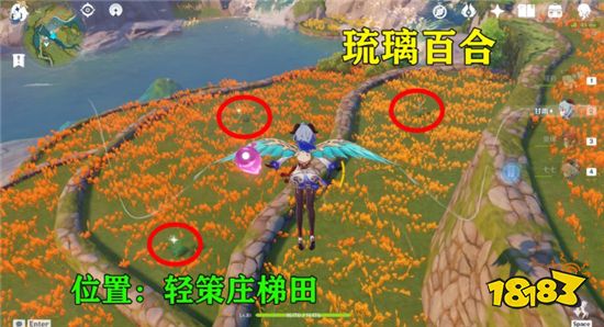 原神最难收集的突破材料是什么 最难收集的突破材料盘点