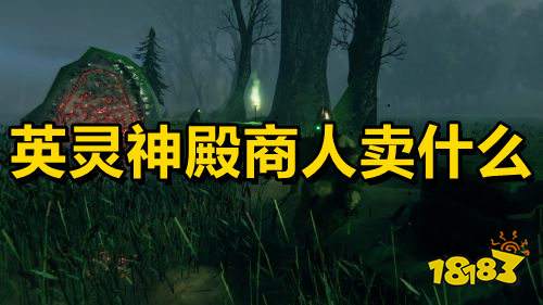 英灵神殿商人卖什么商人售卖商品介绍