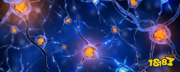 重生细胞灵魂出窍有什么用