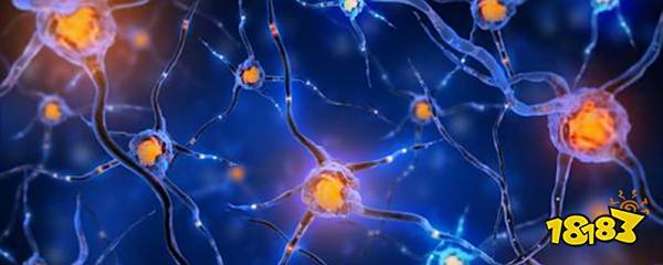 重生细胞探险家符文怎么获得