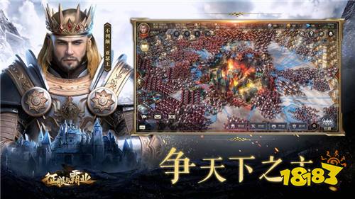 张柏芝征服与霸业