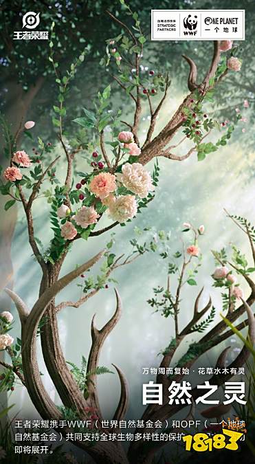 王者荣耀瑶自然之灵皮肤是谁的 自然之灵皮肤是瑶的吗