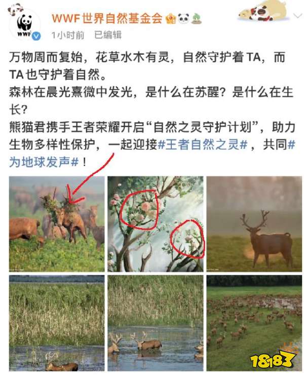 王者荣耀瑶自然之灵皮肤是谁的 自然之灵皮肤是瑶的吗