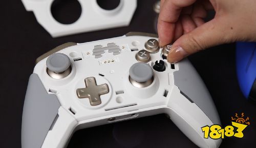 怪物猎人崛起Switch零基础入坑指南 北通宙斯精英手柄轻松狩猎