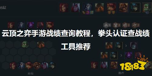 云顶之弈手游战绩查询网址,拳头认证查战绩工具推荐