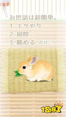 治愈系兔子养成 Android下载