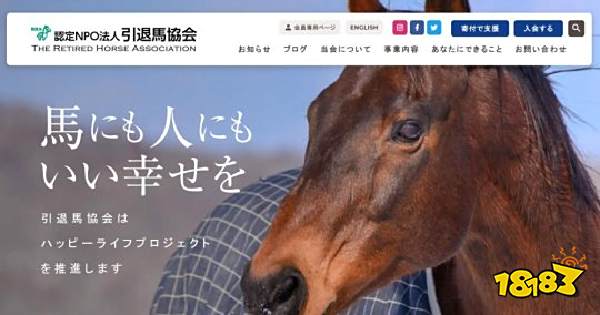 赛马娘的火热 正唤醒人们对退役赛马关注