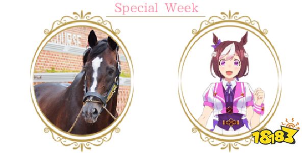 赛马娘的火热 正唤醒人们对退役赛马关注