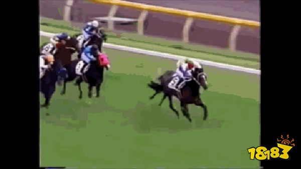 赛马娘的火热 正唤醒人们对退役赛马关注