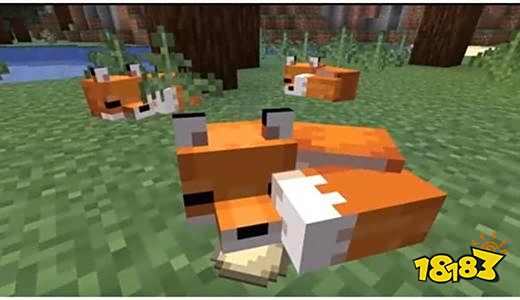 我的世界狐狸能驯服吗