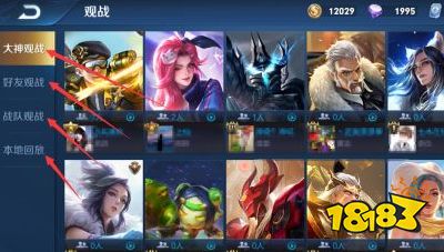 王者荣耀怎么关闭观战