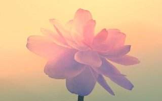 《剑网3怀旧服》联动永久定制背挂首曝 4月16日预约开启