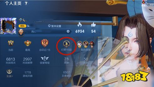 王者荣耀分路段位怎么看