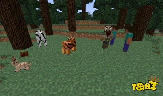 我的世界Tenshilib