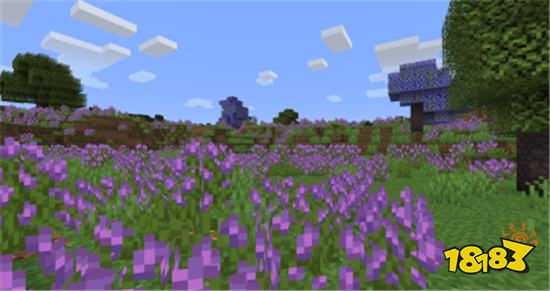 我的世界AbundanceMod 薰衣草花田