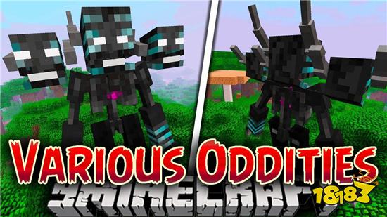 我的世界VariousOdditiesMod