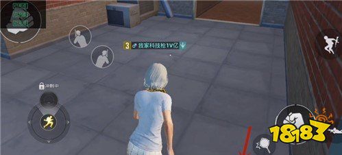 和平精英怎么不显示头盔和护甲